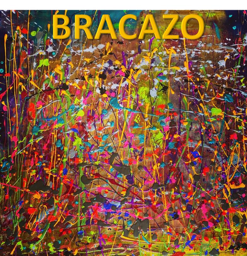 NACIONAL: Sorpréndete Con El Nuevo Sonido Chileno De BRACAZO.