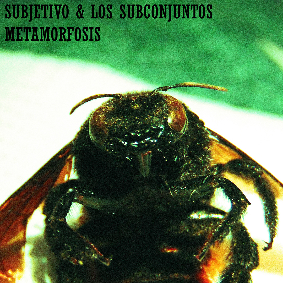 METMORFOSIS, el punk chileno de Subjetivo & los Subconjuntos