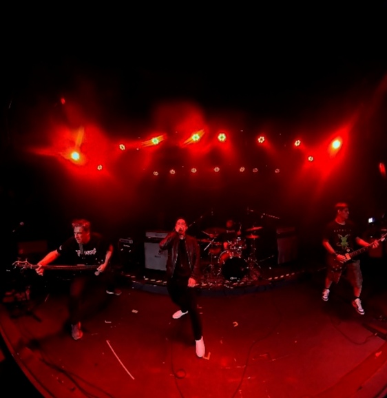 Trynapsis estrena «Lazo Eterno»